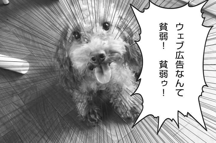 宣伝コスト削減!WEB広告より新聞折込広告をつかうメリット3つ